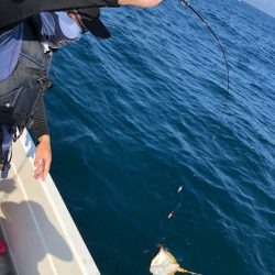 「LaGooN」蒼陽丸 日和号 釣果