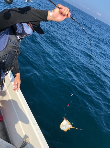 「LaGooN」蒼陽丸 日和号 釣果