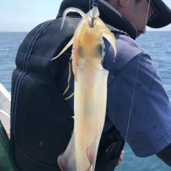 「LaGooN」蒼陽丸 日和号 釣果