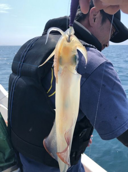 「LaGooN」蒼陽丸 日和号 釣果