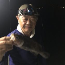 遊漁船メテオ 釣果