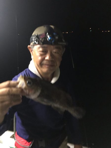 遊漁船メテオ 釣果