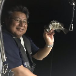 遊漁船メテオ 釣果