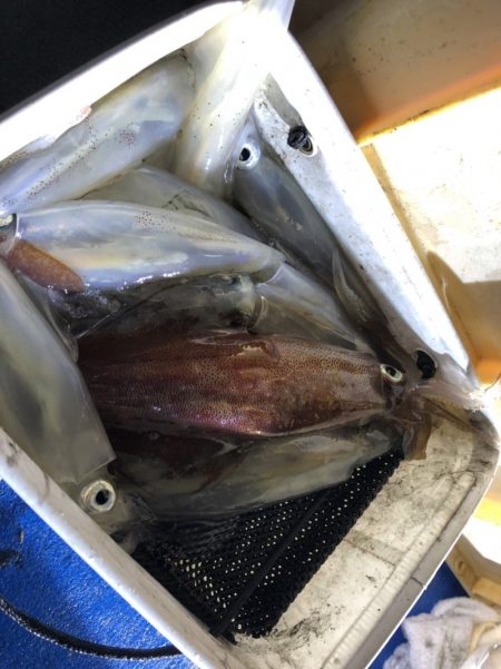 海龍丸（石川） 釣果