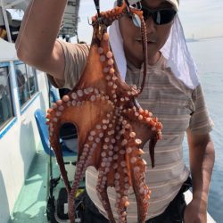 ヤザワ渡船 釣果