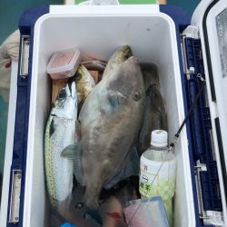 丸万釣船 釣果