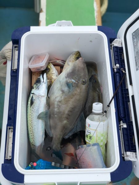 丸万釣船 釣果