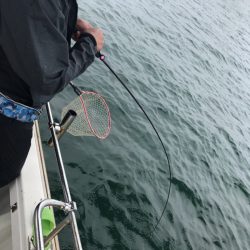 遊漁船メテオ 釣果