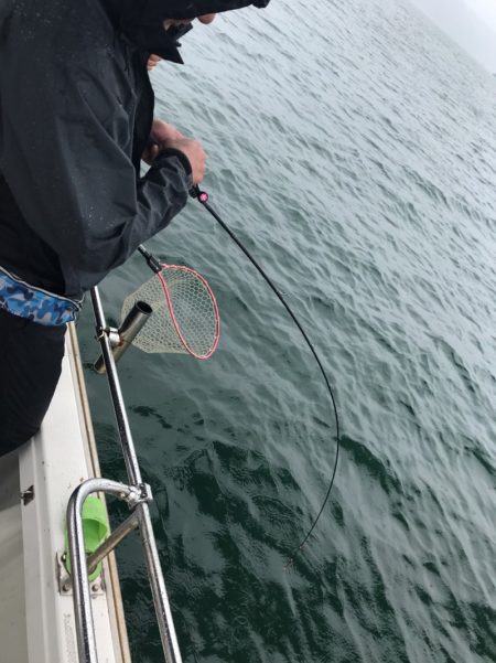 遊漁船メテオ 釣果