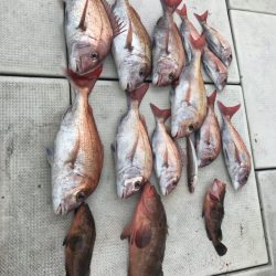 遊漁船メテオ 釣果