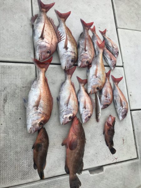 遊漁船メテオ 釣果