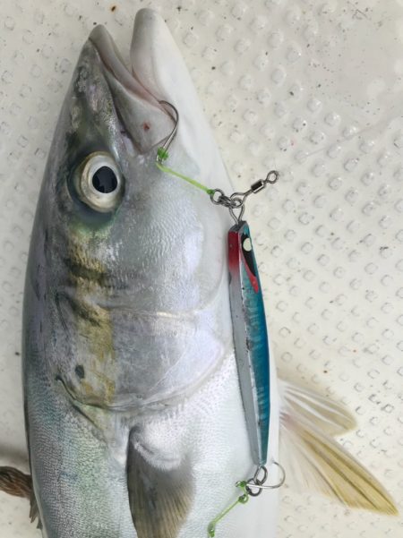 Monster Rush! 釣果