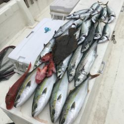 Monster Rush! 釣果