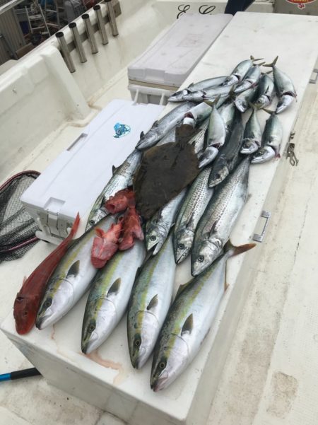 Monster Rush! 釣果