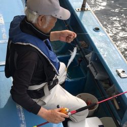ヤザワ渡船 釣果