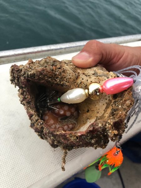 末広丸(熊本) 釣果