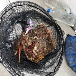 末広丸(熊本) 釣果