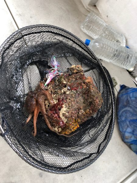 末広丸(熊本) 釣果