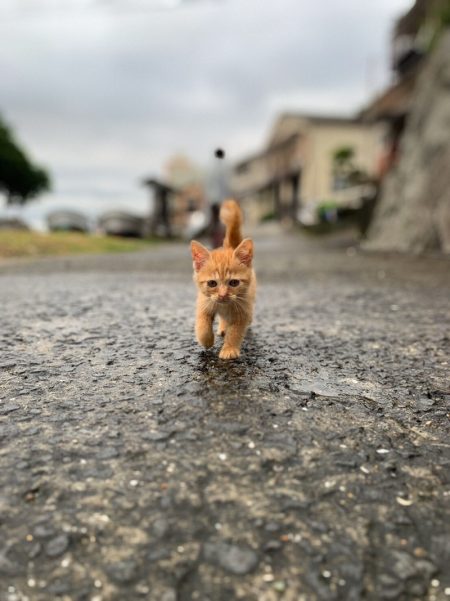 末広丸(熊本) 釣果