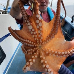 ヤザワ渡船 釣果