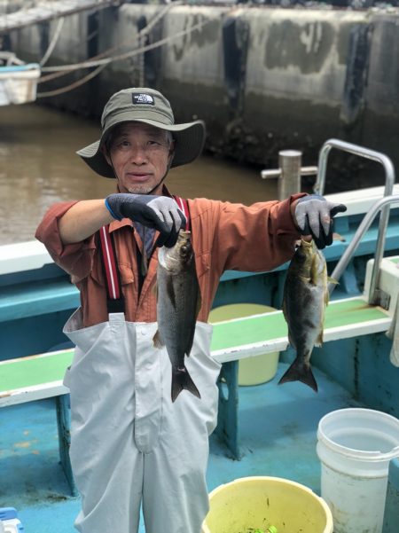 丸万釣船 釣果