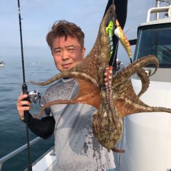 ビッグファイター 釣果