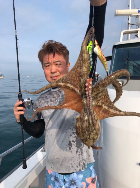 ビッグファイター 釣果