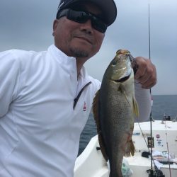 「LaGooN」蒼陽丸 日和号 釣果