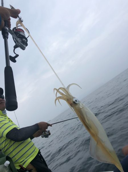 「LaGooN」蒼陽丸 日和号 釣果