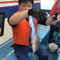 ヤザワ渡船 釣果