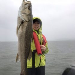 アマテラス 釣果