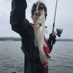 アマテラス 釣果