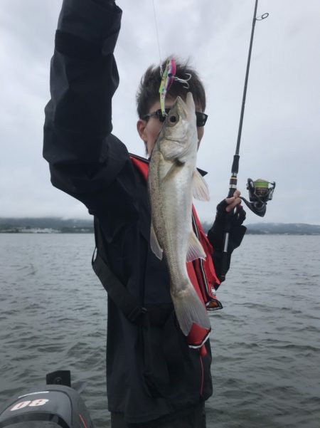 アマテラス 釣果