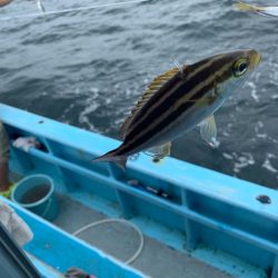 みやけ丸 釣果
