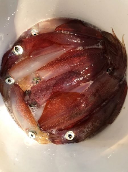 第二八坂丸 釣果