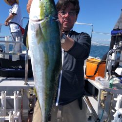 ビッグファイター 釣果