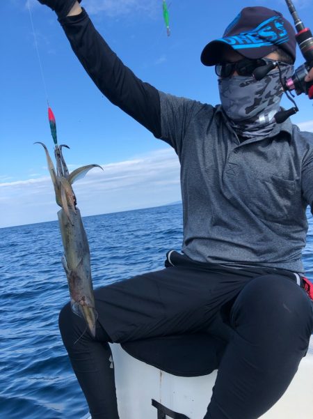 「LaGooN」蒼陽丸 日和号 釣果
