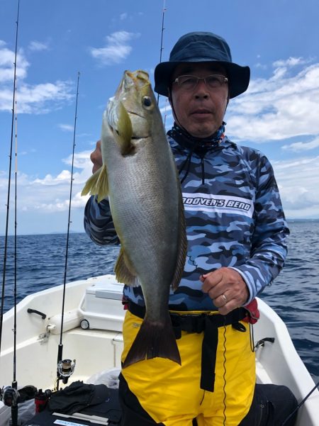 「LaGooN」蒼陽丸 日和号 釣果