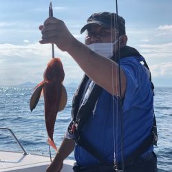「LaGooN」蒼陽丸 日和号 釣果