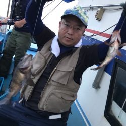 ヤザワ渡船 釣果