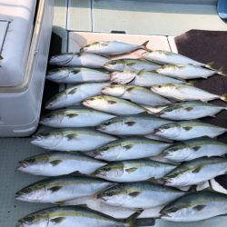 エムズジャーク(M’s JERK) 釣果