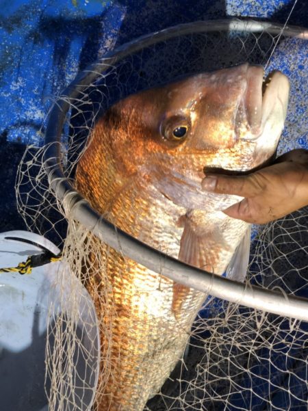 海龍丸（石川） 釣果