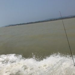 Monster Rush! 釣果