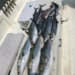 Monster Rush! 釣果