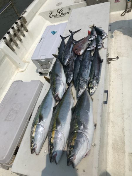 Monster Rush! 釣果