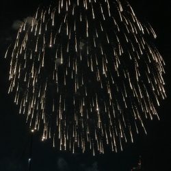 Monster Rush! 釣果