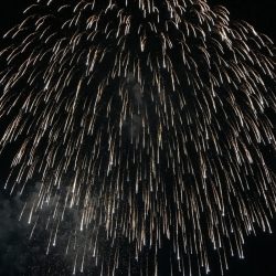 Monster Rush! 釣果