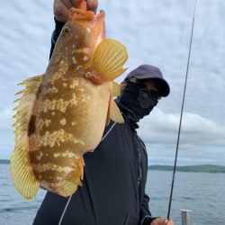 エヌスタイル 釣果