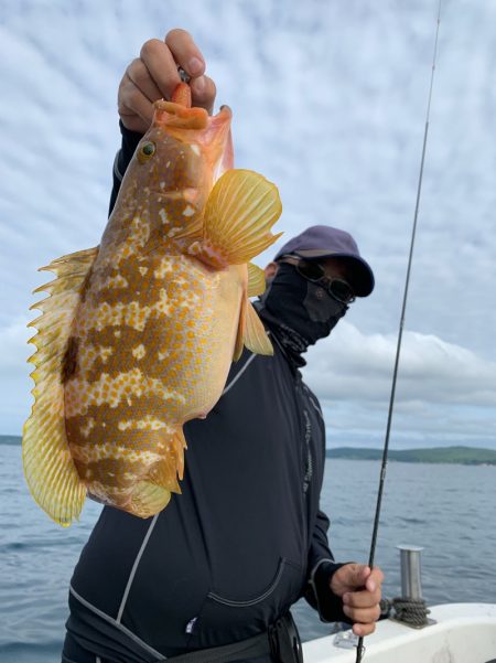 エヌスタイル 釣果
