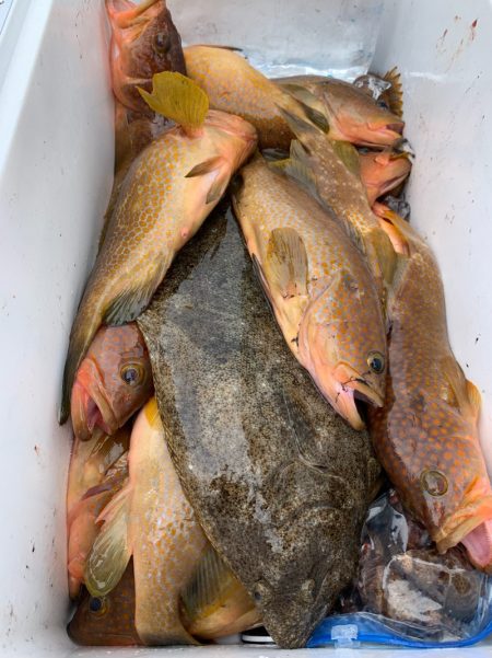 エヌスタイル 釣果